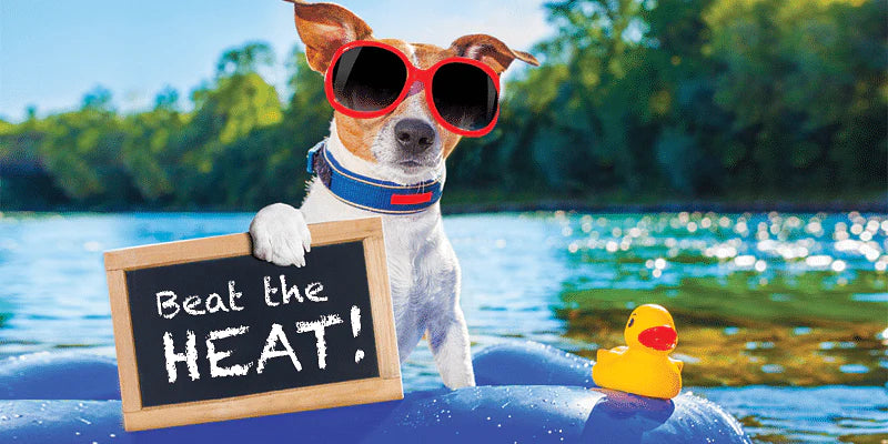 Beating the Heat: Innovative and Fun Ways to Stay Cool This Summer