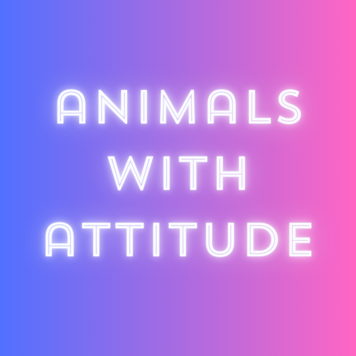 Animals-with-Attitude A Little Corner Jax