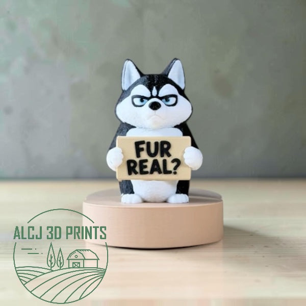 AWA-HUSKY A Little Corner Jax